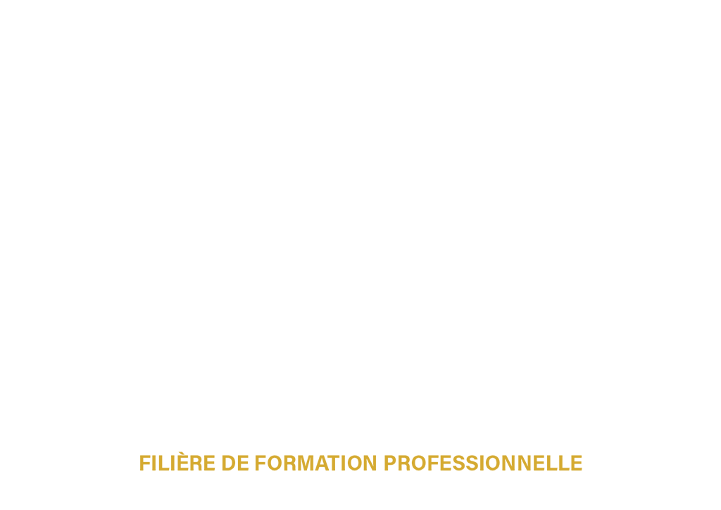 FFP Conseil